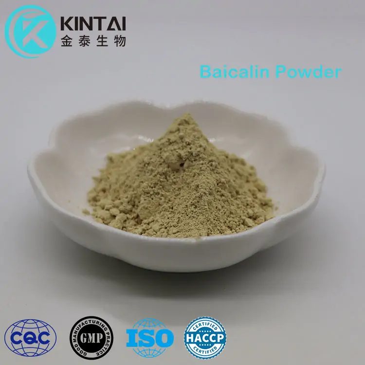 Baicalini pulber
